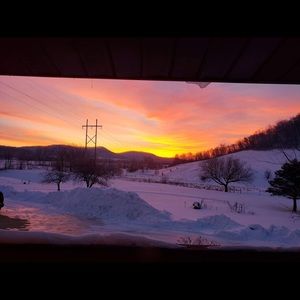 Meet your Posher, Payton